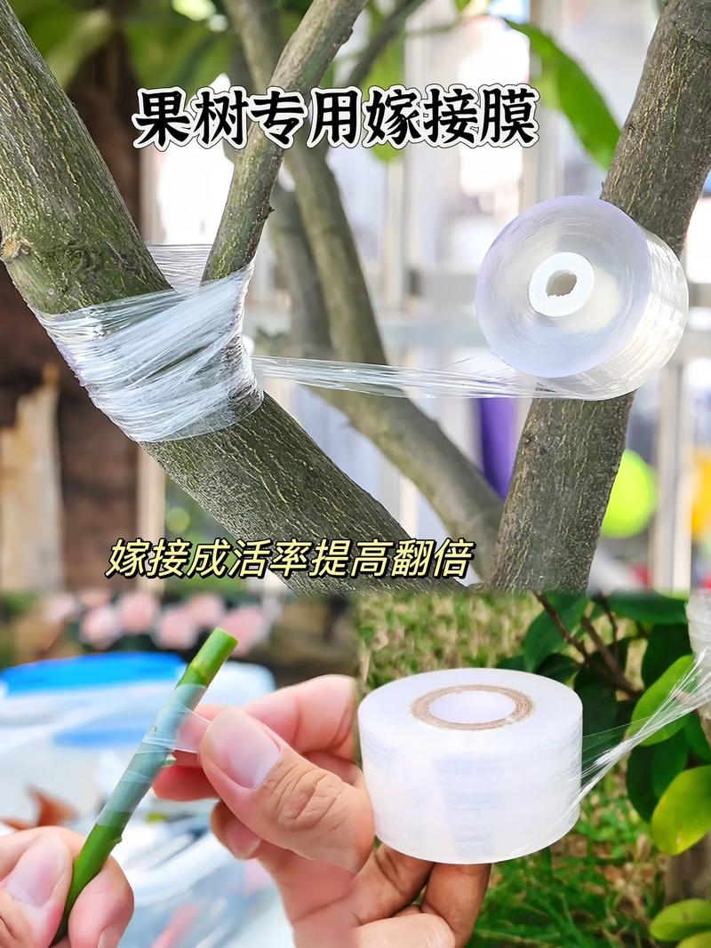 嫁接专用膜的技术优势与应用 从透光拉伸到静电自贴